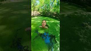 🍀 underwater duckweed swamp freediver freediving [upl. by Yramliw364]