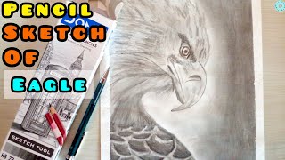 Eagle  Pencil Sketch [upl. by Siroved]