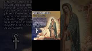 Recordemos las 5 Apariciones de mi Virgencita Guadalupe solo 2 días Celebramos 493 años [upl. by Woodsum]