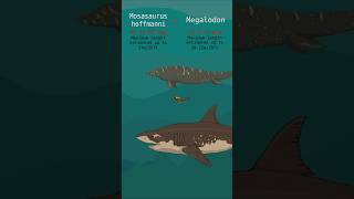 Megalodon vs Mosasaurus Prehistoric sea monsters size comparison [upl. by Kostival306]