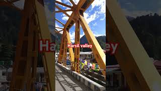 Harsil valley shortsfeed harsil song gangotri uttarkashitogangotri [upl. by Springer819]