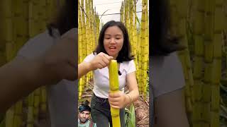 fruit sugarcanejuice satisfying sugercanejuice lifehack sugarcane food lifehacks [upl. by Fay829]