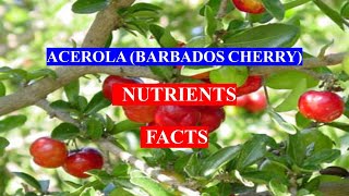 ACEROLA BARBADOS CHERRY   Fruit  HEALTH BENEFITS AND NUTRIENTS FACTS [upl. by Elpmid]