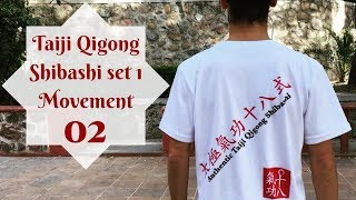 Qigong Exercises Tai Chi Qigong Shibashi set 1 movement 2 [upl. by Winn93]