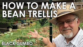 How to Make a Bean Trellis for Free  Black Gumbo [upl. by Nollad]