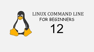 Linux Command Line For Beginners 12  mv command [upl. by Aneeuqal]