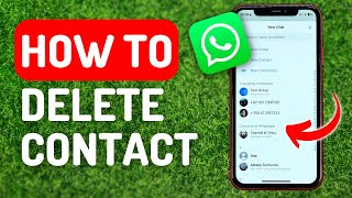 How to Delete Whatsapp Contact  Full Guide [upl. by Maynord654]