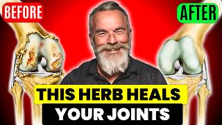 I Discovered the BEST Herb for JOINT Pain Relief [upl. by Malilliw]