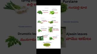 ఆకు కూరల పేర్లు  leafy vegetables [upl. by Am]