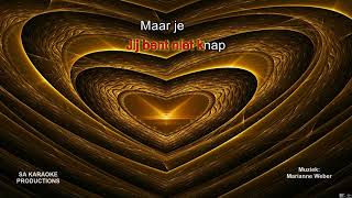 Karaoke HD quotHartje Van Goudquot zonder backing vocals met vocal assist Marianne Weber [upl. by Huston]