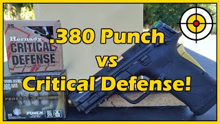 Can 380 Do The Job For Self Defense Federal Punch vs Hornady Critical Defense Ballistic Gel Test [upl. by Ayar]