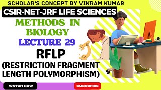 RFLP Restriction Fragment Length Polymorphism  Methods in Biology [upl. by Reinertson]