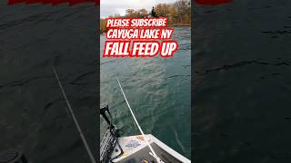 Cayuga lake NY fall feed up Largemouth bass bulking up for winter bassfishing [upl. by Rigdon672]