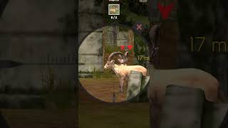 This Hunting Game Is Actually Incredible l Wild Animal Hunt 2024 [upl. by Eittik]