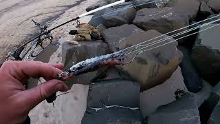 Short fishing session on Cambois beach [upl. by Perkins]