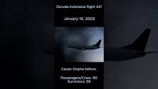 Garuda Indonesia flight 421 [upl. by Wojcik]