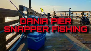 Dania Beach Pier Snapper Fishing [upl. by Haldeman]