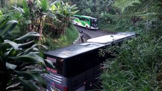 Bus menanjak di jalan sempit Lembang Maribaya [upl. by Mikkel]