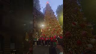 Jingle Bell song at Martin place Sydney [upl. by Rimidalv]