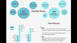 The Difference Between IUI and IVF [upl. by Calla956]