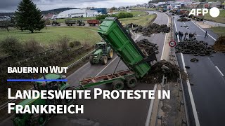 Massive Bauernproteste auch in Frankreich  AFP [upl. by Ybroc]