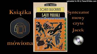 5 Richard Hannay Jochn Buchan  Sądy poranka 1929 audiobook cz 34  38 [upl. by Thomasine]