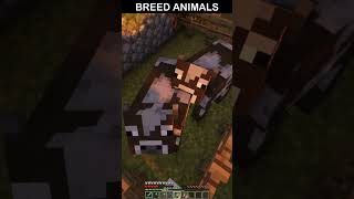 Breed My Animals minecraft shorts minecraftshorts [upl. by Ileane420]