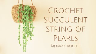 Free Crochet Succulent Pattern  String of Pearls  Moara Crochet [upl. by Jamesy161]