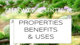 Cedarwood Essential Oil Benefits amp Uses [upl. by Ynaoj604]