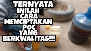 CARA BUAT PUPUK ORGANIK CAIR POC DARI AIR CUCIAN BERAS  URINE SAPI [upl. by Elaina]