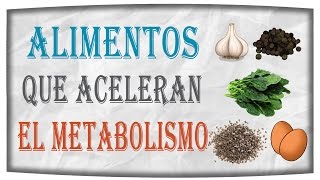 Agrega HOY MISMO Estos Alimentos A Tu Dieta Para Acelerar El Metabolismo [upl. by Ermine]