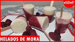 CÓMO HACER HELADOS DE MORA [upl. by Dolly]