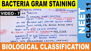 Bacteria Gram Staining Procedure  Biological Classification  Class 11  Biology  NEET 20222023 [upl. by Eanerb243]