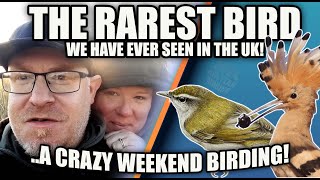 THE RAREST BIRD WE HAVE EVER SEEN IN THE UK A CRAZY BIRDING ADVENTURE [upl. by Eesyak193]