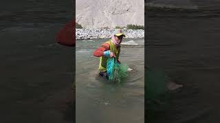 Pura adrenalina en la pesca de pejerrey de río fishing ríos pesca fish [upl. by Coucher]