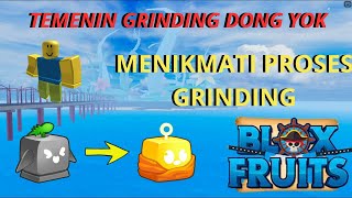 MENIKMATI PROSES GRINDING  LIVE ROBLOX BLOX FRUIT INDONESIA [upl. by Enihsnus]