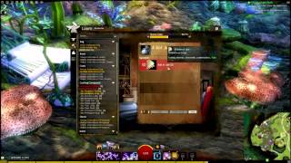 Guild Wars 2 How I Manage My Inventory Bank amp Crafting Materials [upl. by Calandra130]