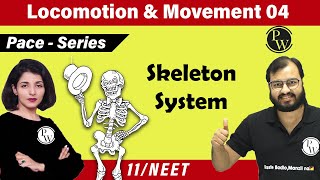 Movement and Locomotion 04  Skeleton System  Class 11  NEET  PACE SERIES [upl. by Berl]