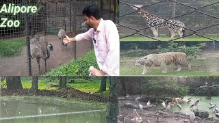 Alipore Zoo  Kolkata Zoological Garden  Alipore Zoo Ticket Price [upl. by Sakiv]