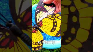 Learning Bugs for Toddlers  3 4 5 Year Old Learning Video  Bug Names Slug Spider Butterfly [upl. by Tarrah262]