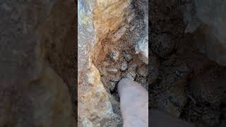 Rockhounding California Quartz crystals California Rockhounding quartzcrystals adventure luck [upl. by Airotkiv132]