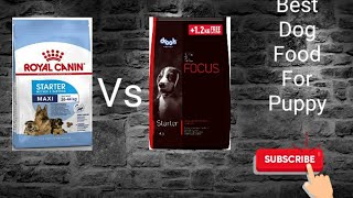 Royal Canin Vs Drools Focus [upl. by Yemarej321]