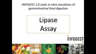 Lipase Activity Assay for the INFOGEST 20 Method for Food 2019 update in Nature Protocols [upl. by Phippen]