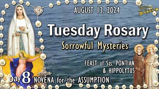 🌹TUESDAY Rosary🌹FEAST of Sts PONTIAN amp HIPPOLYTUS ♰ ASSUMPTION NOVENA DAY8 Sorrowful Mysteries [upl. by Gladis]