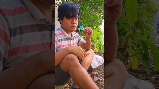 Share delicious gummy candy with millipedes shorts shortvideo viral [upl. by Attenauq]