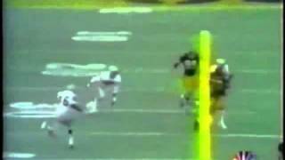 Immaculate reception with slomo and stop action [upl. by Silsby141]