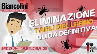 🔴​⚠️Come eliminare i tarli del legno la guida definitiva🔴​⚠️ [upl. by Ardyce]