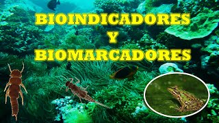 BIOINDICADORES Y BIOMARCADORES [upl. by Tran]