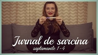 JURNAL DE SARCINA  saptamanile 14  Kinga [upl. by Greenlee808]