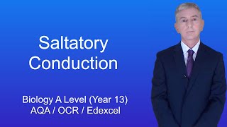 A Level Biology Revision Year 13 quotSaltatory Conductionquot [upl. by Aynotel]